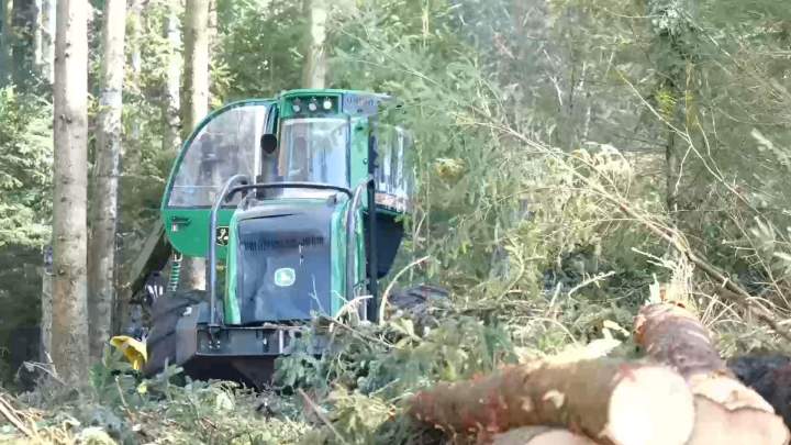 Vente et achat de bois.