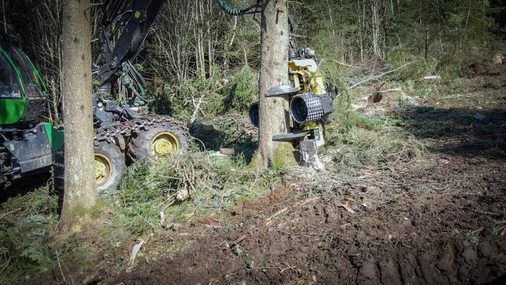 Spécialiste en abattage d’arbres.