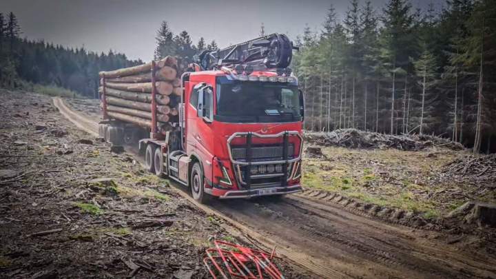 Service spécialisé en transport de bois.